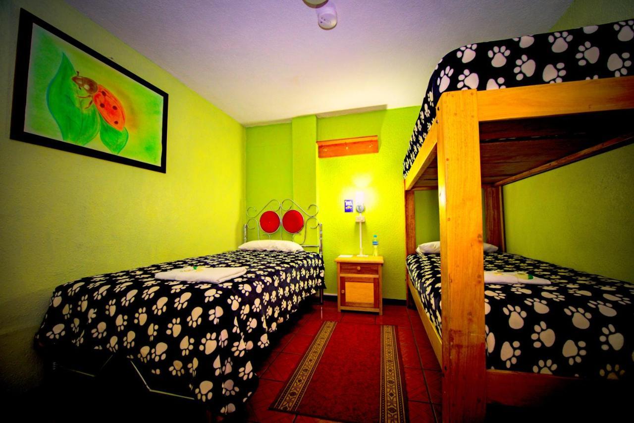 Mirador Oro Verde Quilotoa Zumbagua Exterior foto